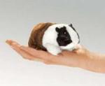 guinea pig finger puppet