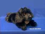 Newfoundland plush stuffed animal large